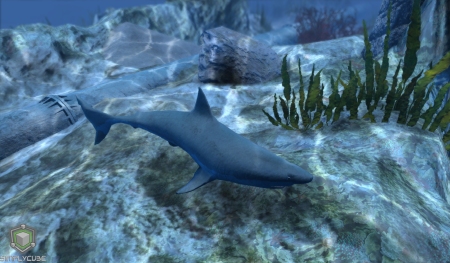 SimplyCube - Underwater Shark